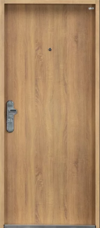 bezpecnostni_dvere_securido_dub_artisan_hladke1